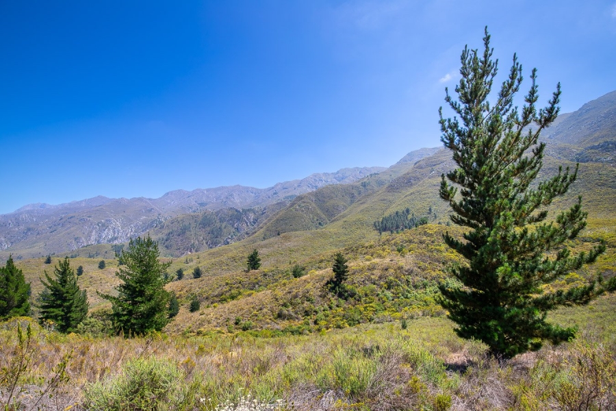 Commercial Property for Sale in Robertson Rural Western Cape